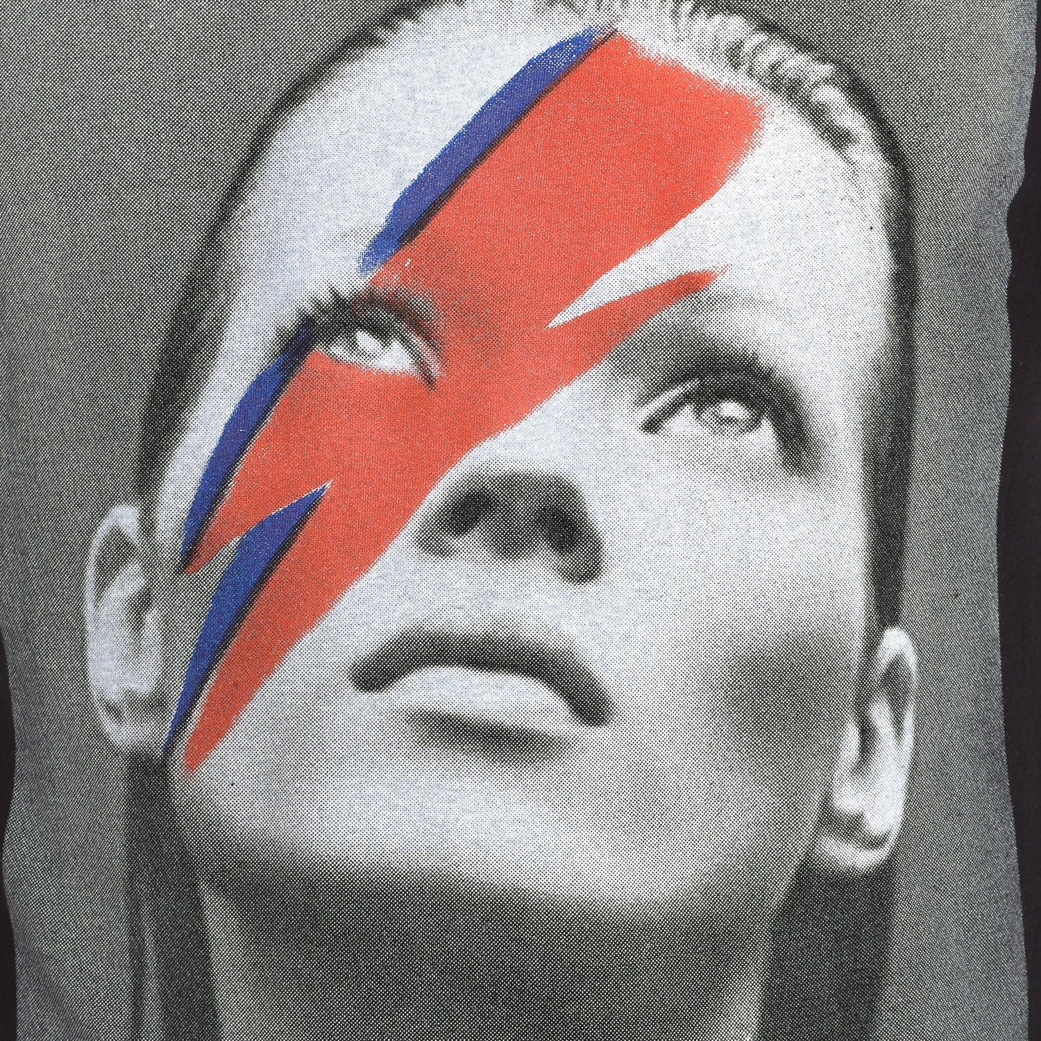 foto_variant_101259