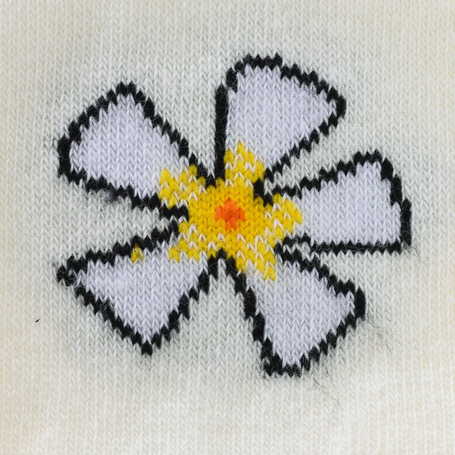 foto_variant_105738